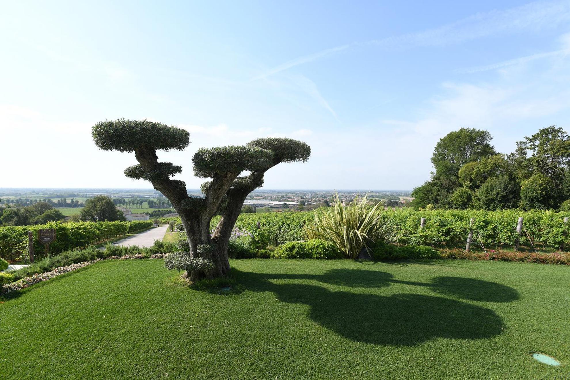 Aparthotel Progress Country & Wine House Asolo Exteriér fotografie